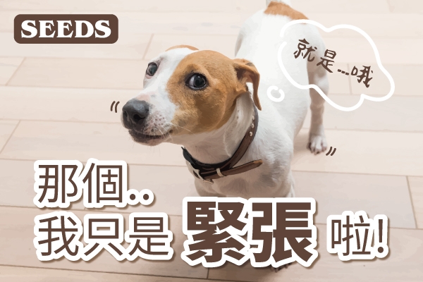 你知道狗狗這些反應其實是在緊張嗎 毛孩小學堂 台灣惜時有限公司